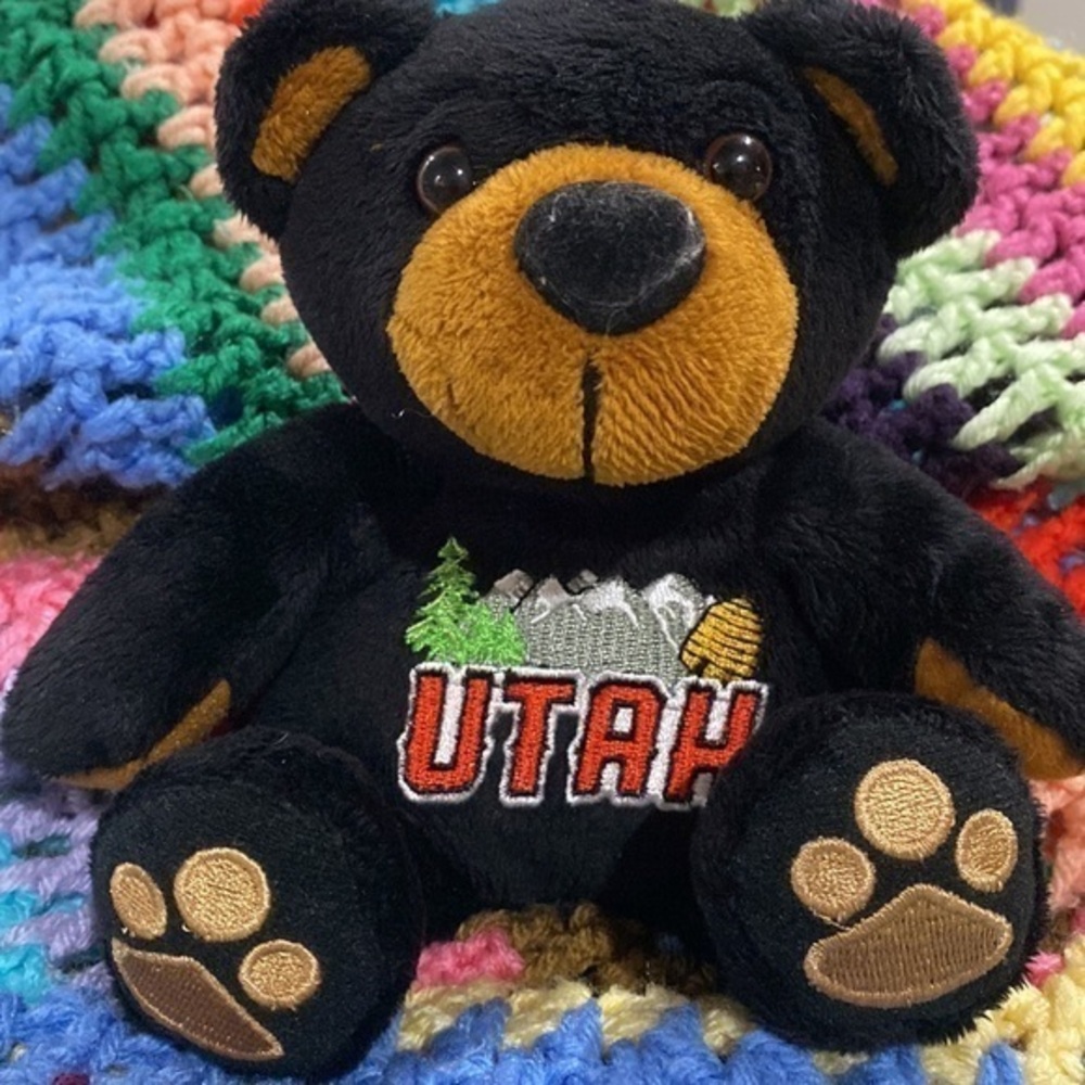 ❤️3 for $15!❤️ Utah Plush Bear